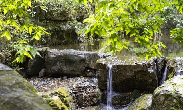 白草畔风景区门票40（夏天去河北这10个地方）