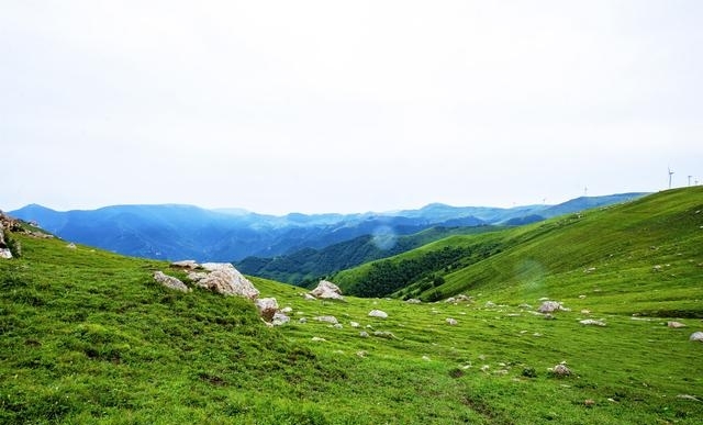 白草畔风景区门票40（夏天去河北这10个地方）