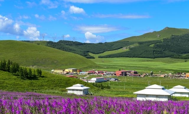 白草畔风景区门票40（夏天去河北这10个地方）