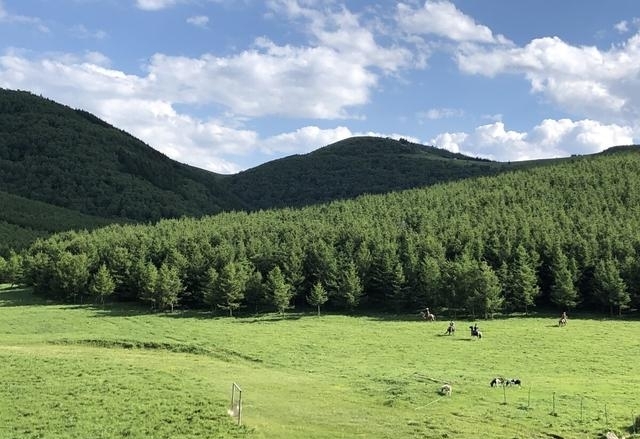 白草畔风景区门票40（夏天去河北这10个地方）