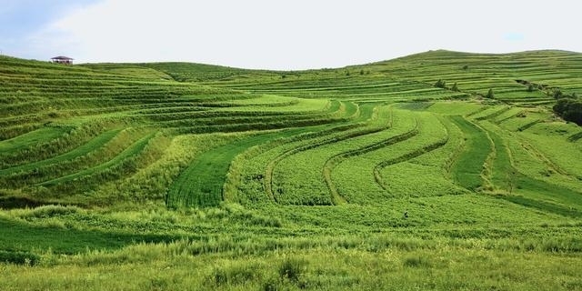 白草畔风景区门票40（夏天去河北这10个地方）