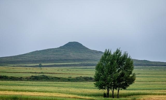 白草畔风景区门票40（夏天去河北这10个地方）