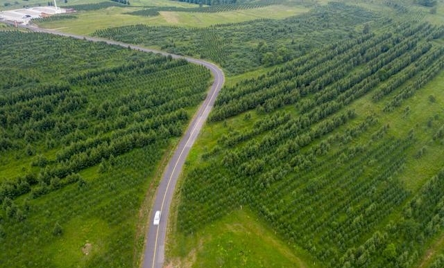 白草畔风景区门票40（夏天去河北这10个地方）