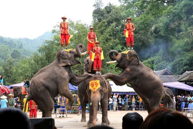 西双版纳旅游景点有哪些（西双版纳景点介绍）