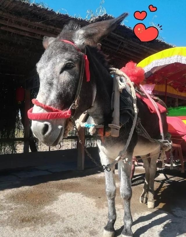 夏天什么地方适合约会（夏季最适合情侣去的旅行地）