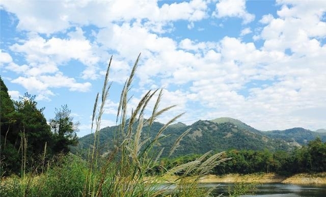 安吉旅游必去的景点（安吉这些地方最值得玩）