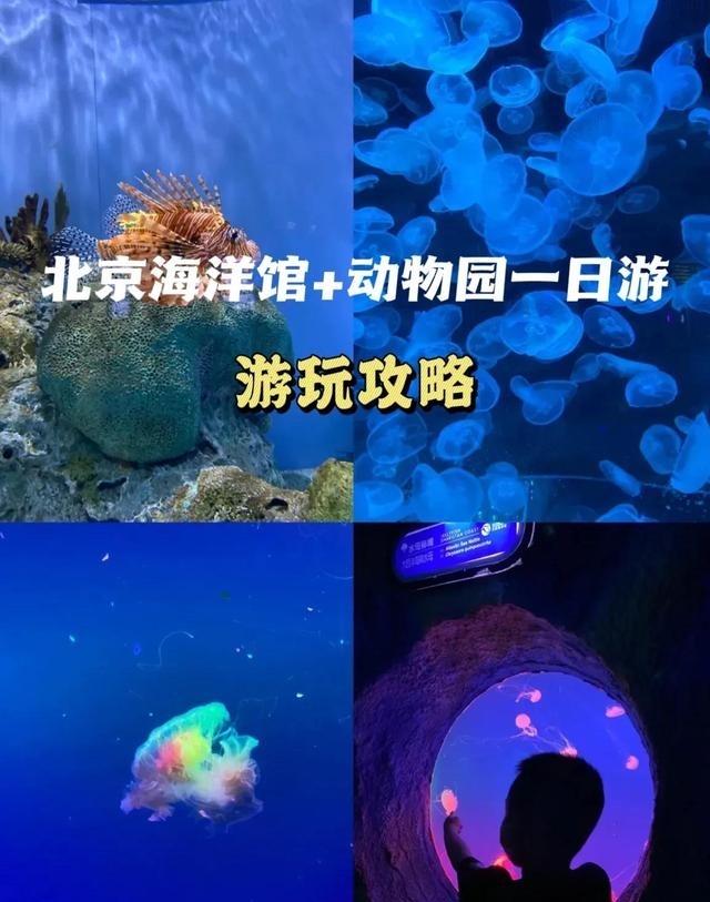 北京动物园海洋馆门票价格（海洋馆➕动物园一日游）