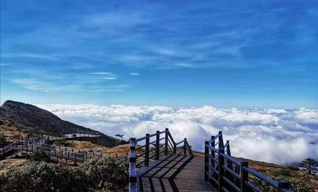 云南丽江玉龙雪山门票(云南旅游必去的6个雪山)