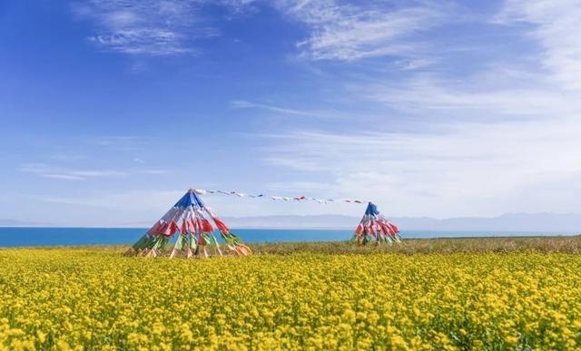 青海湖旅游攻略(老少皆宜的暑期自驾线来了)