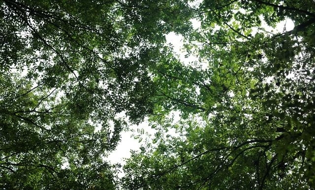 青州好玩的地方有哪些（青州适合夏天游玩的景区）