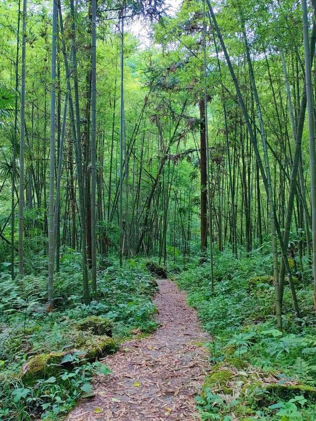 崇州旅游景点大全最新(38℃的成都去哪避暑)