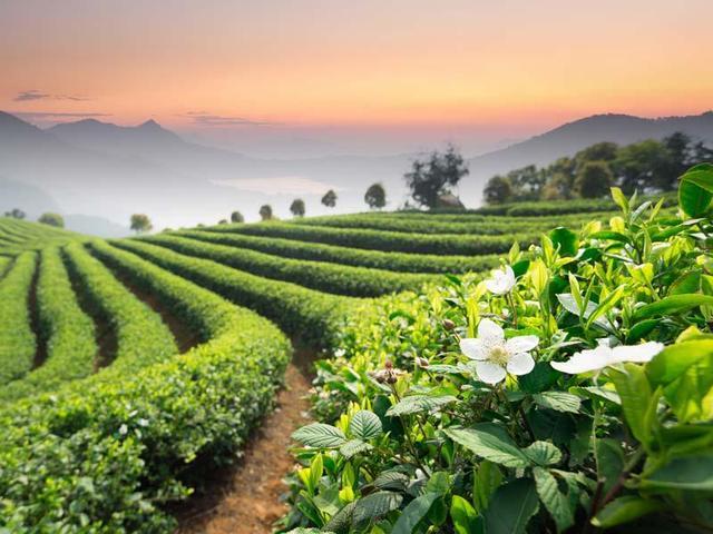 中国十大最美旅游景点（中国最美的十大自然景点）