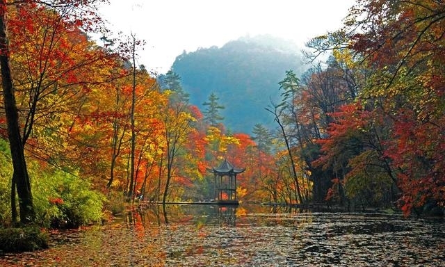 汉中旅游景点推荐（汉中最详细旅游景点攻略）