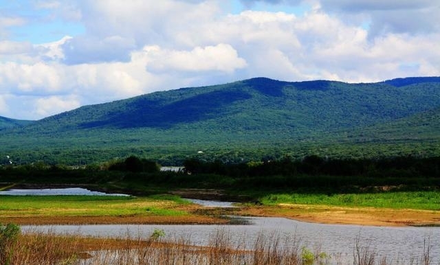 黑瞎子岛旅游攻略（黑瞎子岛地理位置有多重要)