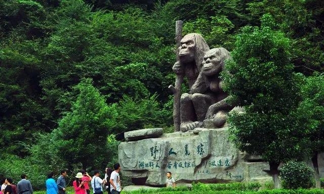 神农架六大景点（神农架旅游3天2晚攻略）