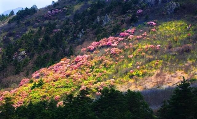 5月份去哪里旅游最好国内（5月份国内最美8个地方）