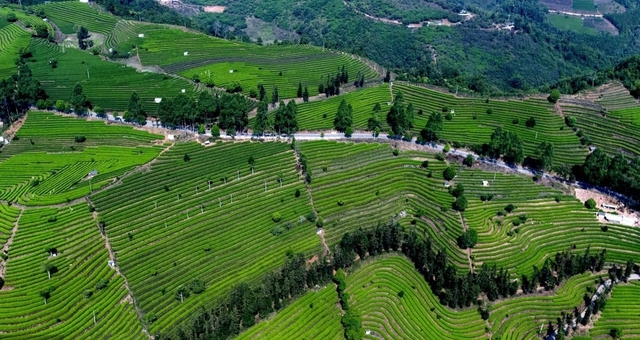 普洱旅游景点排名(云南普洱好玩景区大排名)