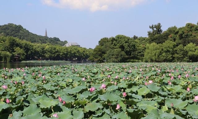 西湖十景有哪些(最美西湖十景图文介绍)