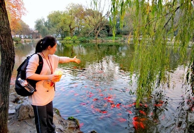 西湖十景有哪些(最美西湖十景图文介绍)