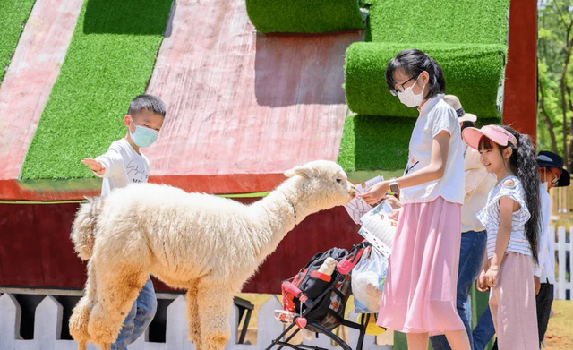 成都旅游七天怎么安排（成都七日游攻略详细安排