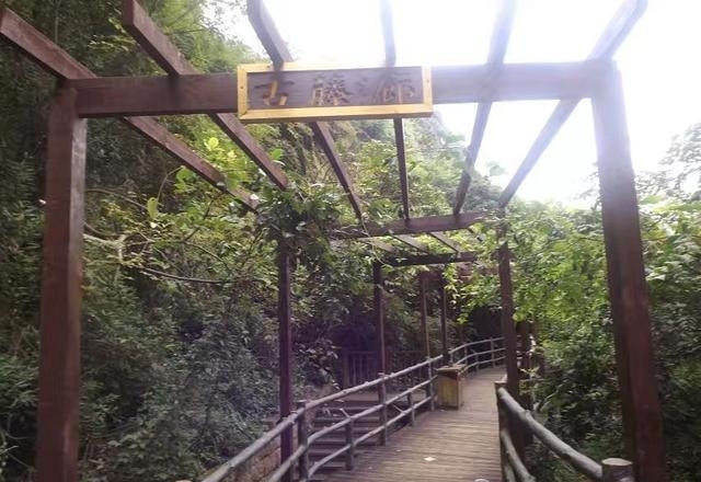 龙虎山最高峰是什么（江西龙虎山悬崖上的栈道）