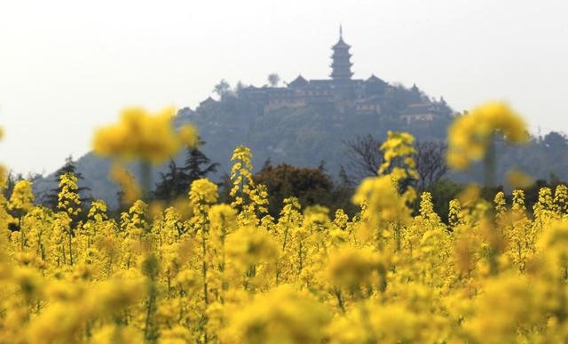 南通旅游景点大全（江苏南通有哪几个景点）