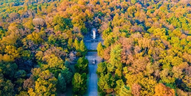 南京栖霞山门票多少（南京赏秋大礼包等待查收)