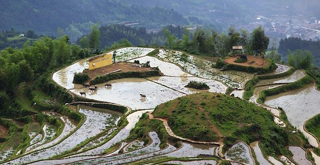 丽水旅游景点哪里好玩(浙江丽水市十大景点自驾游)