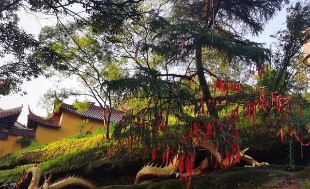 东山岛好玩吗怎么样（火遍全网的东山岛值得一去吗）