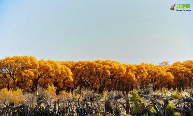 10月去哪里旅游最好（10月最佳旅行目的地）