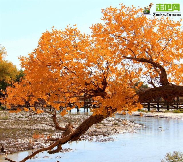 10月去哪里旅游最好（10月最佳旅行目的地）