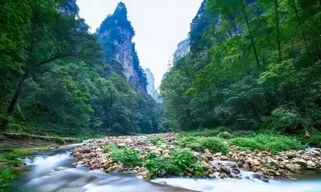 张家界旅游景点介绍（张家界是哪个省份的旅游景点）