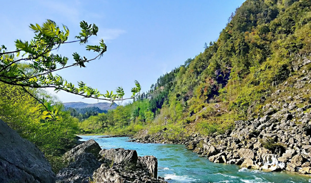 张家界旅游景点介绍（张家界是哪个省份的旅游景点）