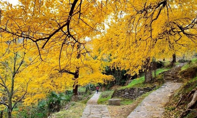 孝感旅游景点大全（优美的孝感自驾游目的地推荐）