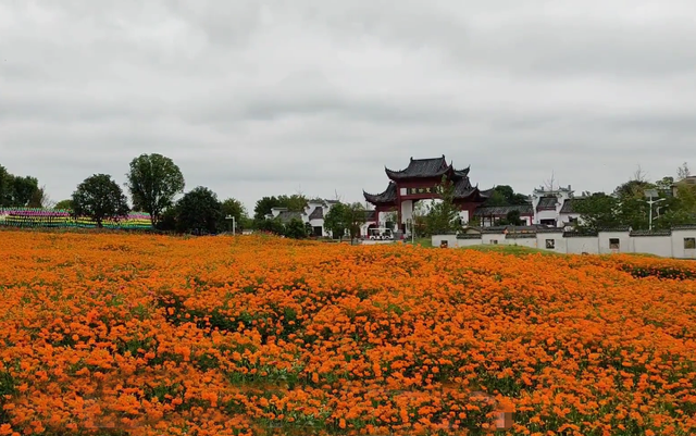 孝感旅游景点大全（优美的孝感自驾游目的地推荐）