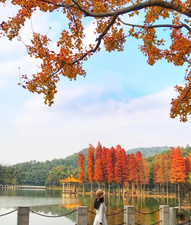 佛山西樵山旅游攻略（佛山这座山变成分手山)