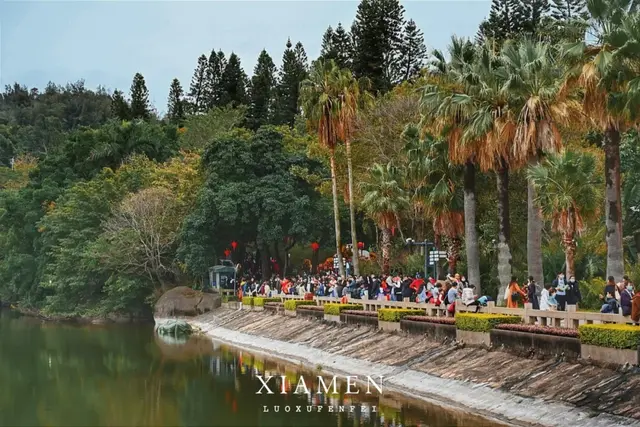 鼓浪屿好玩吗(谁说本地人不去鼓浪屿)