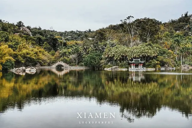 鼓浪屿好玩吗(谁说本地人不去鼓浪屿)