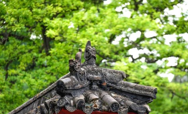 中国最大的少林寺在哪里 塔林规模最大数量最多少林寺