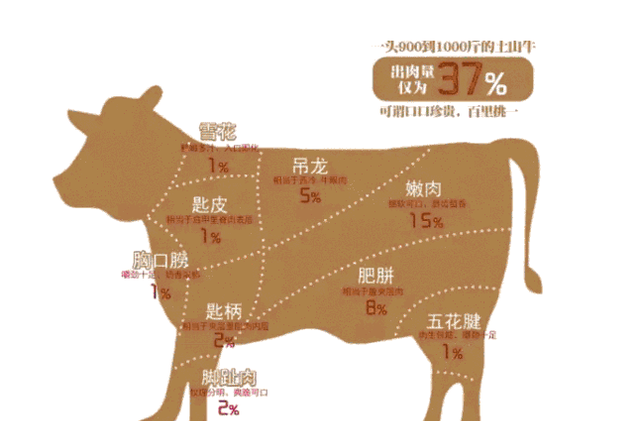 牛肉哪个部位适合烤串（哪个部位的牛肉更适合烤着吃）