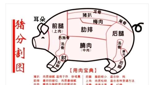 前夹肉图片部位图片