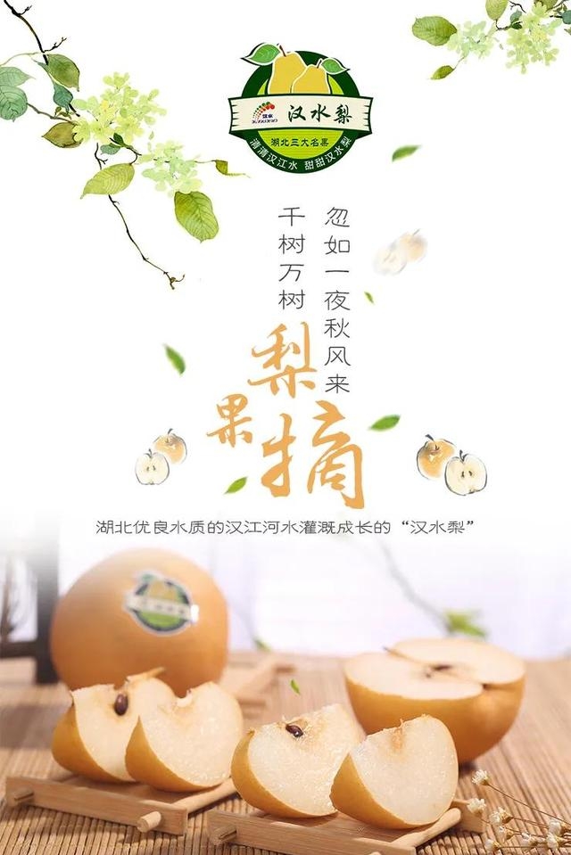 襄阳著名的特产有哪些（襄阳十大著名特产）