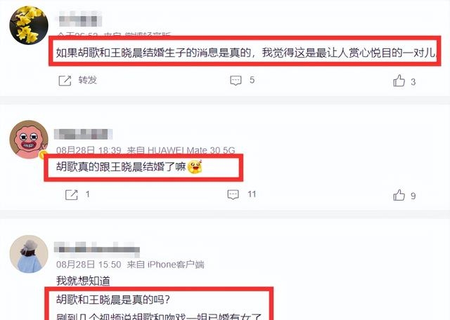 胡歌的妻子是谁啊（曝胡歌王晓晨秘密结婚并育有一女)