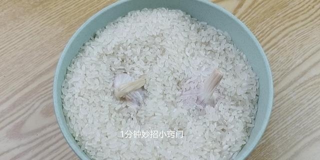 干大蒜怎么保存不发芽（原来保存大蒜这么简单)