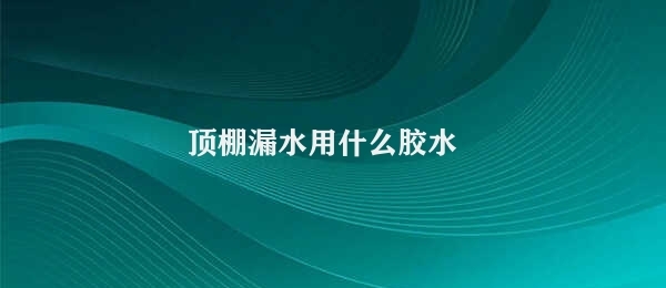 顶棚漏水用什么胶水 防水性胶水修补顶棚漏水