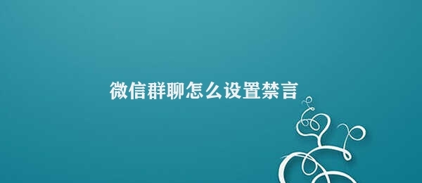 微信群聊怎么设置禁言 微信群聊中禁言的设置步骤