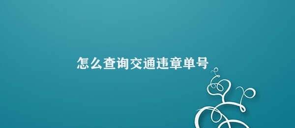 怎么查询交通违章单号 查询交通违章信息方法