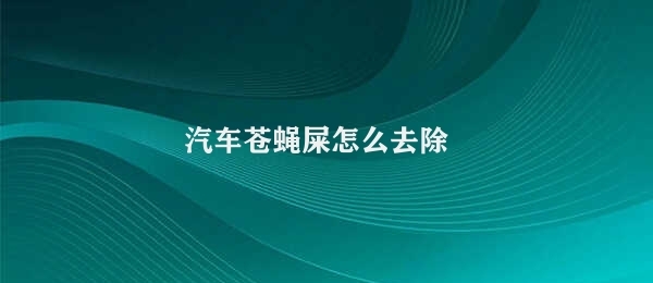 汽车苍蝇屎怎么去除 去除汽车苍蝇屎的方法