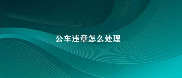 公车违章怎么处理 公车违章防控