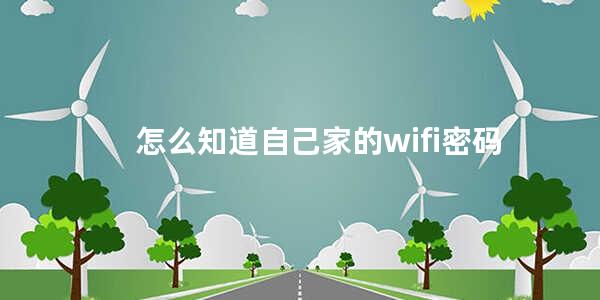 怎么知道自己家的wifi密码